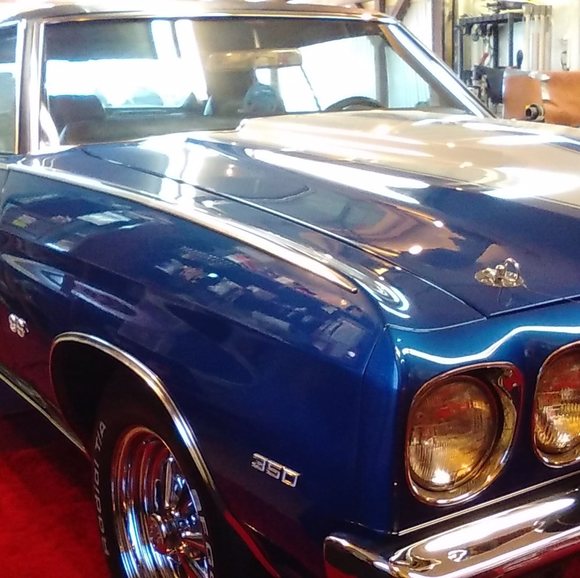 Meet your Posher, Jeffery - Picture 1 of 1